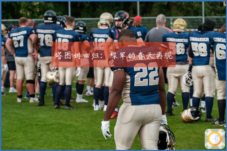 塔图姆回归：绿军的春天再现