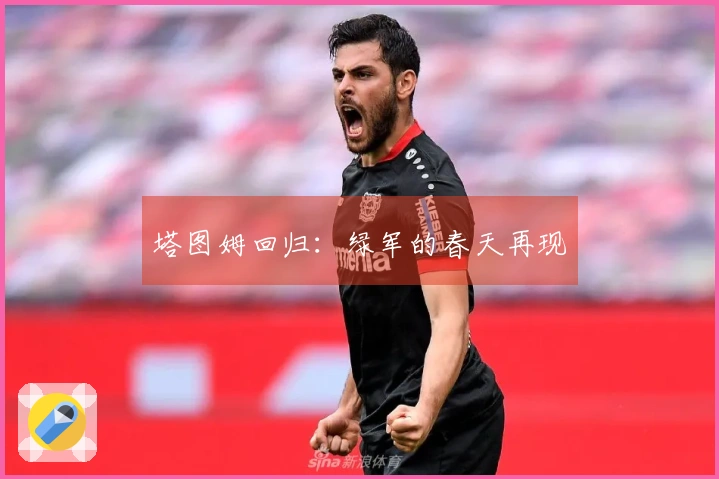 塔图姆回归：绿军的春天再现