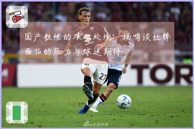 国产教练的艰难处境：杨鸣谈杜锋面临的压力与球迷期待